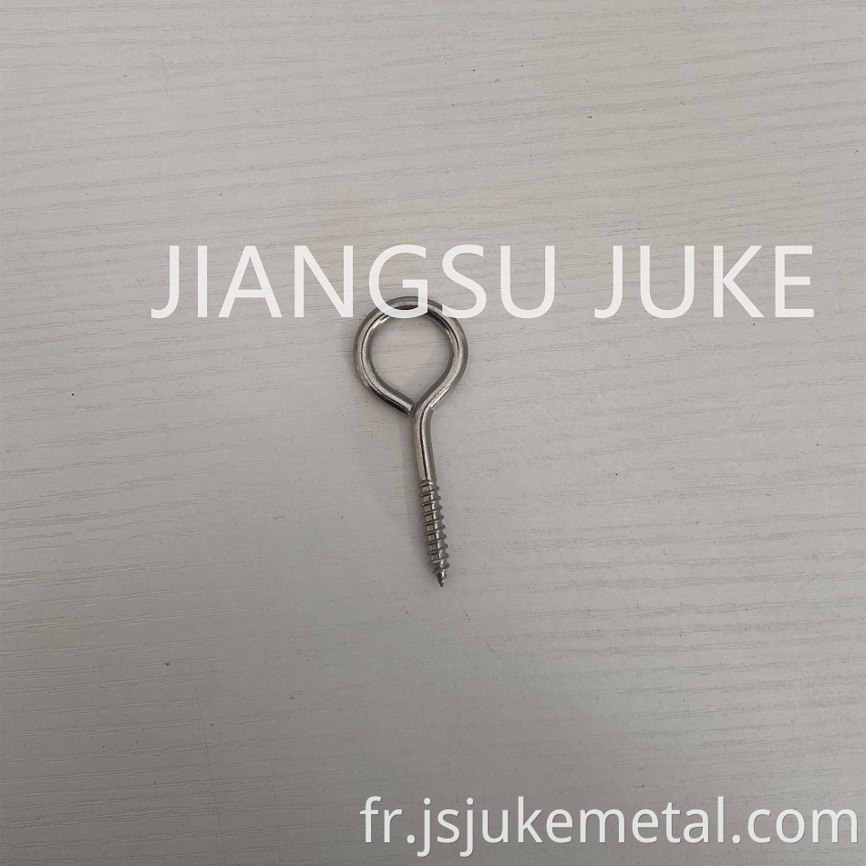 1 Stainless Steel Lag Eye Bolt Jpg